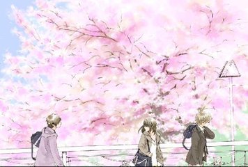 张津瑜吕总落地窗事件